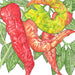 Spicy red, orange, and green chili peppers on a vine with leaves. Botanical illustration of hot garden peppers.