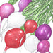 Colorful radishes: red, white, purple, and pink, with green leaves. Fresh garden vegetables illustration.