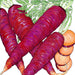 Vibrant purple carrots with green tops, some sliced to show orange core. Heirloom vegetable produce.