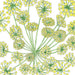 Yellow dill flower botanical pattern with green stems on white. Detailed herbal illustration.