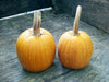 Two orange pumpkins with tall stems resting on rustic wooden planks.