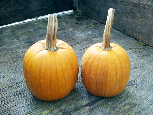 Two orange pumpkins with tall stems resting on rustic wooden planks.