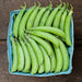 Fresh green sugar snap peas in a blue carton on a rustic wooden table.