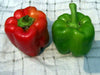 Red and green bell peppers on a white checkered cloth. Fresh, sweet vegetables for healthy cooking and recipes.