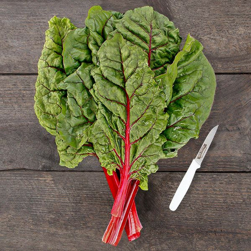 Fresh red Swiss chard bunch with green leaves, water droplets, and a paring knife on a wooden table.