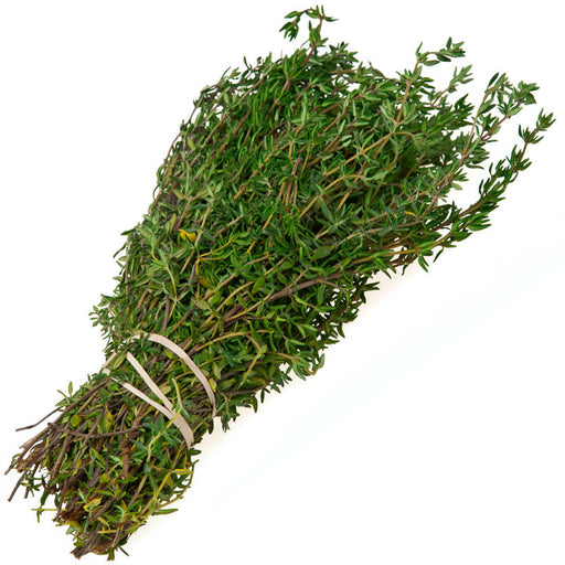 Fresh green thyme bunch, tied. Aromatic culinary herb for cooking, seasoning, and recipes.