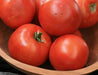 Vibrant red tomatoes, freshly picked, in a natural wooden bowl. Ripe produce, garden harvest, healthy food.