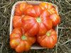 Basket of ripe, vibrant orange heirloom tomatoes on straw. Fresh summer garden harvest.