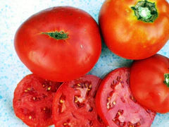 Fresh, ripe red garden tomatoes, whole and sliced, displaying juicy flesh and seeds.