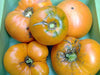 Five ripe orange heirloom tomatoes, one with green shoulders, in a green container.