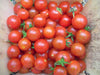 Abundant harvest of vibrant red cherry tomatoes with green stems in a basket. Fresh, organic garden produce.