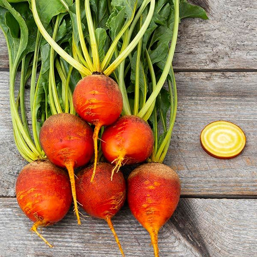 Fresh golden beets with green tops and a sliced yellow beet showing rings on a rustic wooden table.