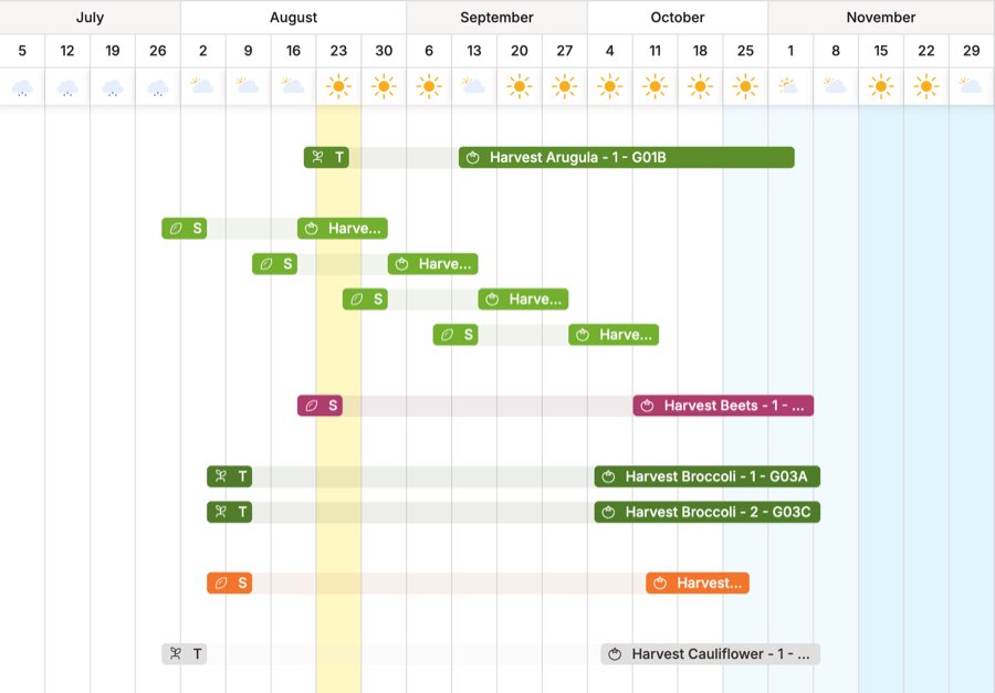 A Seedtime planting calendar running July to November: weekly columns with the forecast above them, the current week picked out in yellow and the cooling weeks shaded blue, and a row per planting - a seed or transplant marker where the work starts and a harvest bar running to the end of the window, for arugula, beets, two successions of broccoli and cauliflower