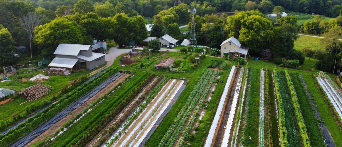 An aerial view of a market farm laid out in long cultivated beds