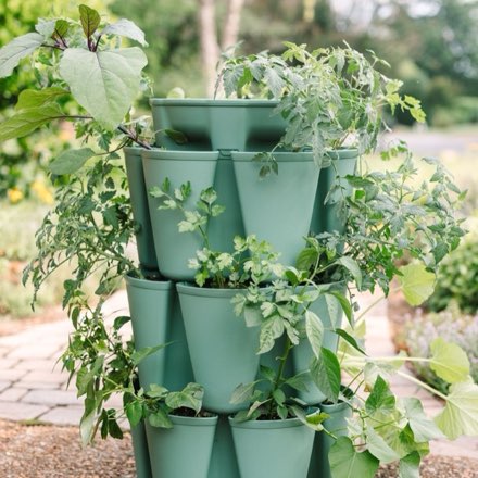 GreenStalk five-tier vertical planter growing herbs and greens outdoors